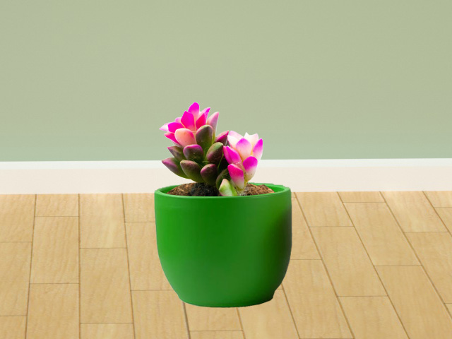 花瓶的清潔和保養(yǎng)